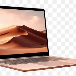 laptop (variable product)